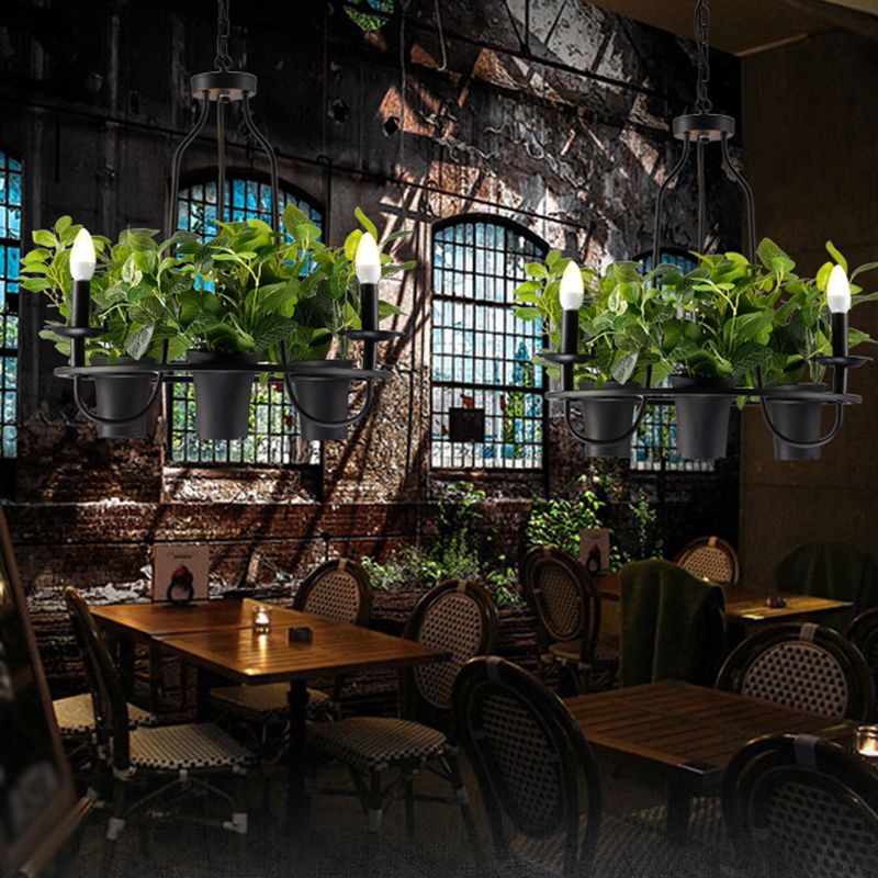 3/6 Bulbos Bonsai Techo Candelier Vintage 1/2 capa Luz de hierro Luz en negro, 19.5 "/27.5" de ancho