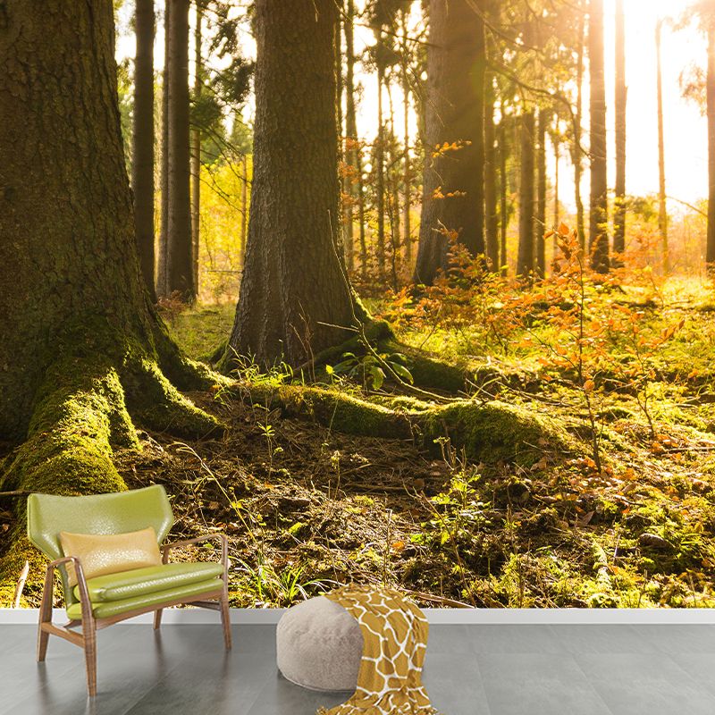Customized Forest Mural Wall Covering Decorative Mildew Resistant for Decoration