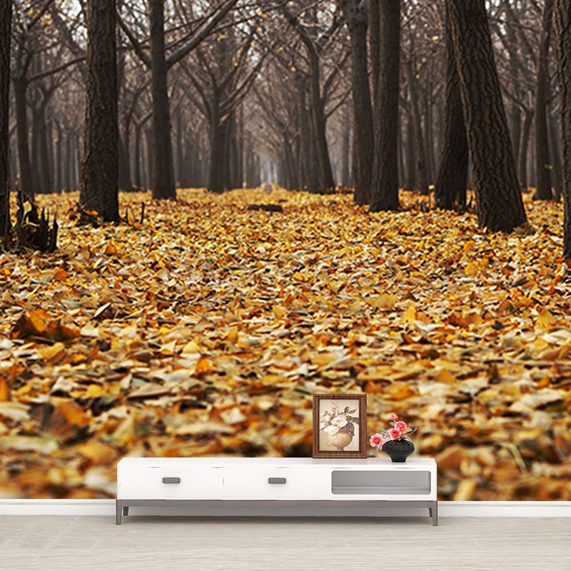 Photography Environmental Wall Mural Forest Stain Resistant Home Wall Mural