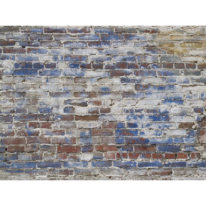 Environmental Photography Mural Wallpaper Brick Wall Indoor Wall Mural