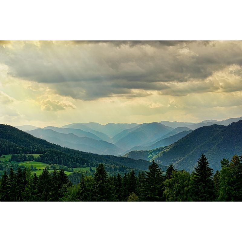 Mountain Range Landscapes Mural Wallpaper in different seasons Indoor Wall Art for Home Decor