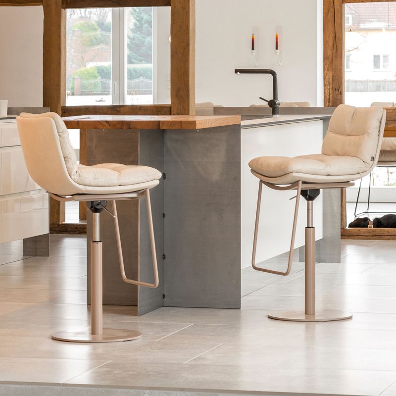 Industrial Adjustable Bar Stool Metal Counter Bar Stool for Home