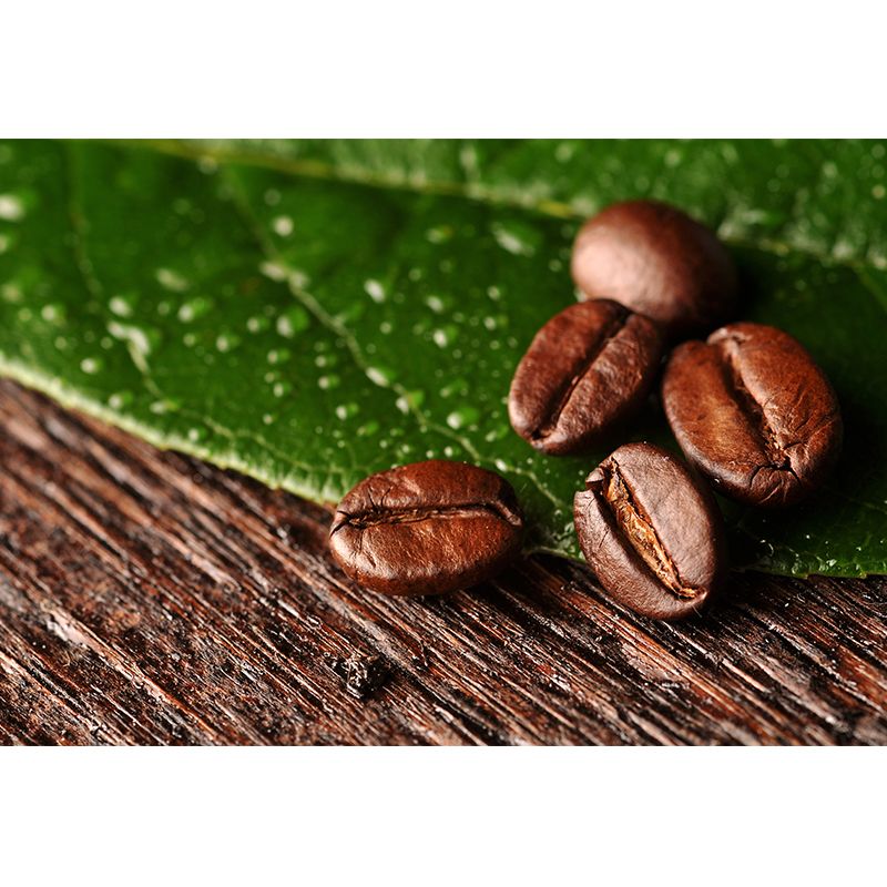 Coffee Bean Mural Decal for Dining Room Photography Wall Covering, Custom Printed