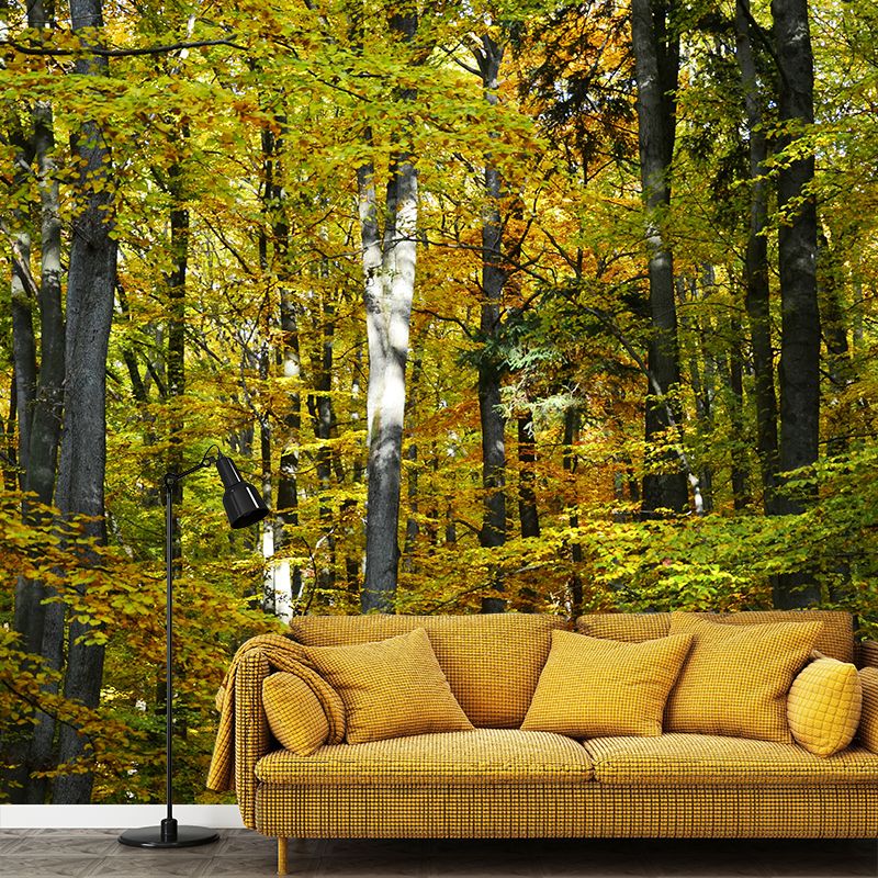 Forest Trees Urals Moisture Resistant Contemporary Hallway Wall Decoration