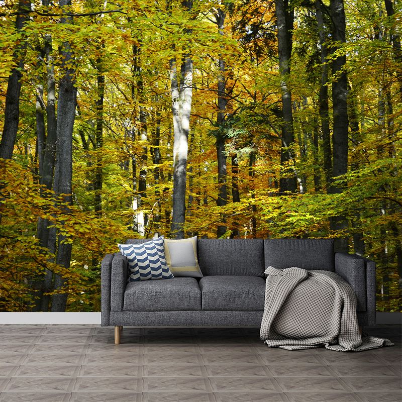 Forest Trees Urals Moisture Resistant Contemporary Hallway Wall Decoration