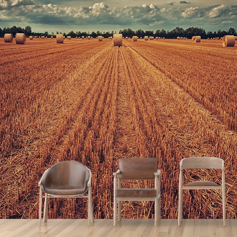Contemporary Photo Wheat Field Mural Soft Color Stain Resistant Wall Art for Dining Room