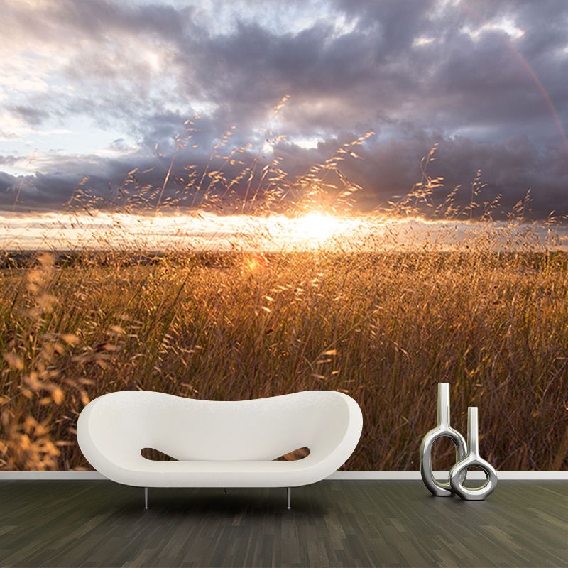 Photography Stain Resistant Mural Wallpaper Wheat Field Sleeping Room Wall Mural