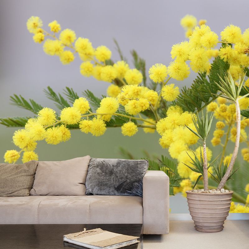 Yellow Mimosa Wall Covering Stain Resistant Living Room Simple Wall Decor