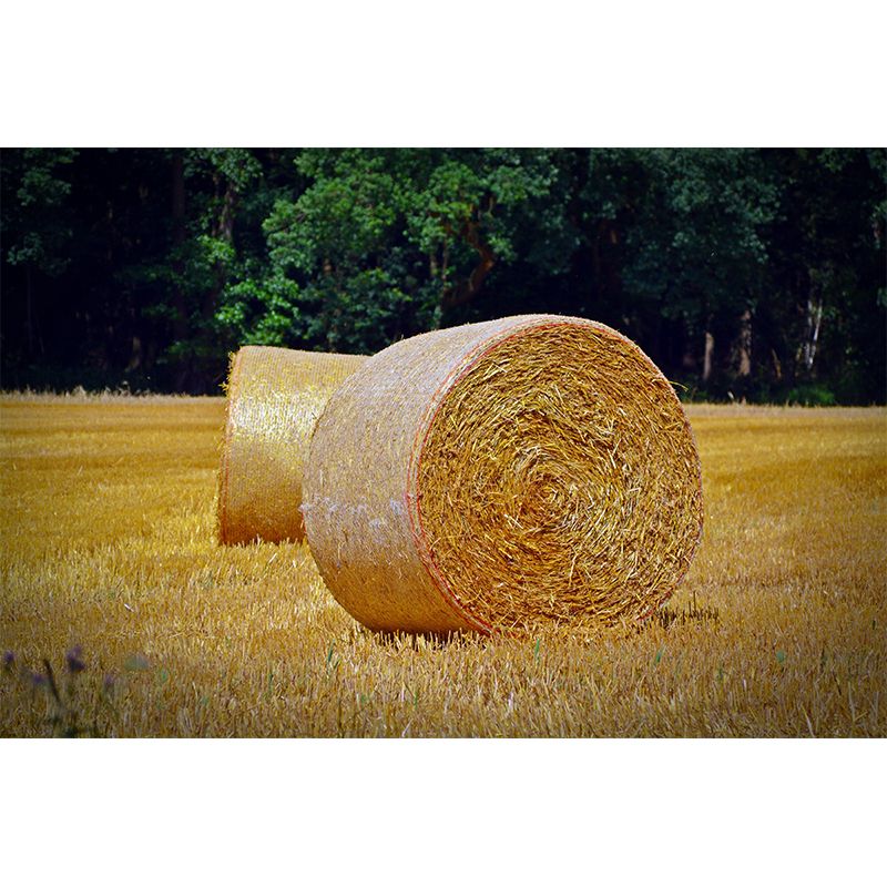 Contemporary Moisture Resistant Straw Bales Mural Wall Covering for Dining Room