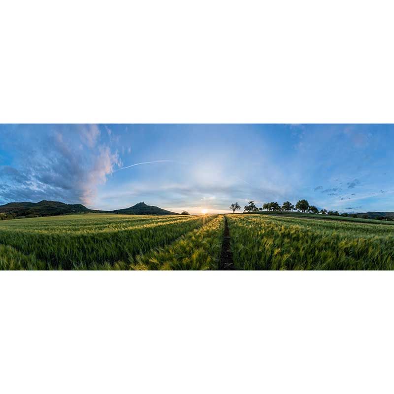 Customized Green Wheat Ears Mural Stain Resistant Wall Art for Dining Room