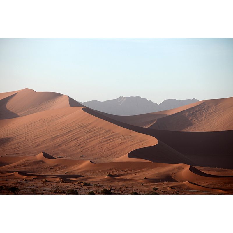 Big Desert Mural Wallpaper Moisture Resistant Modern Bedroom Wall Covering