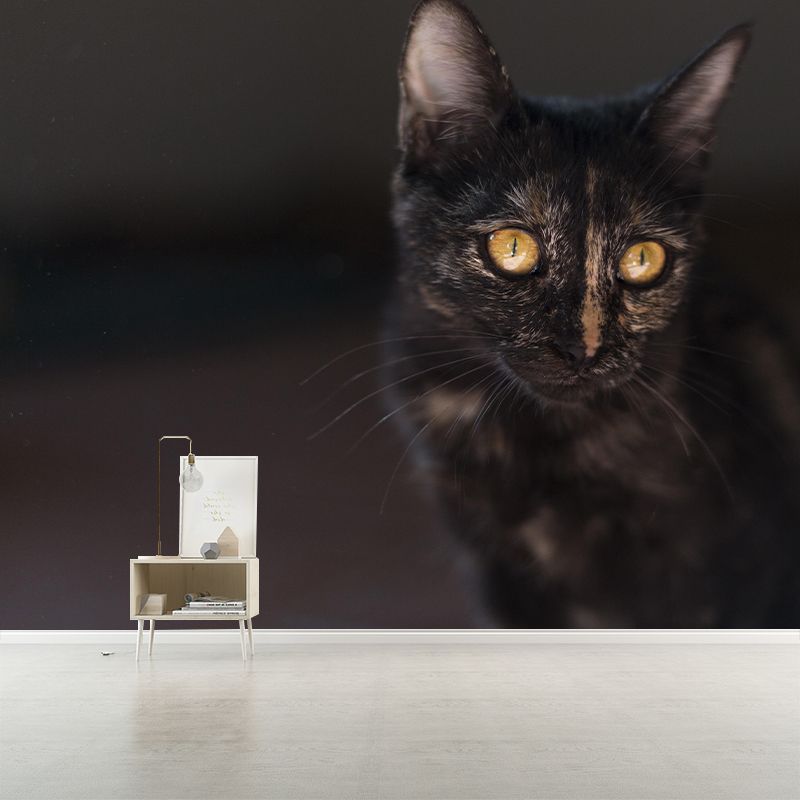 Lovely Kitten Mural Wallpaper Stain Resistant Wall Covering for Sitting Room