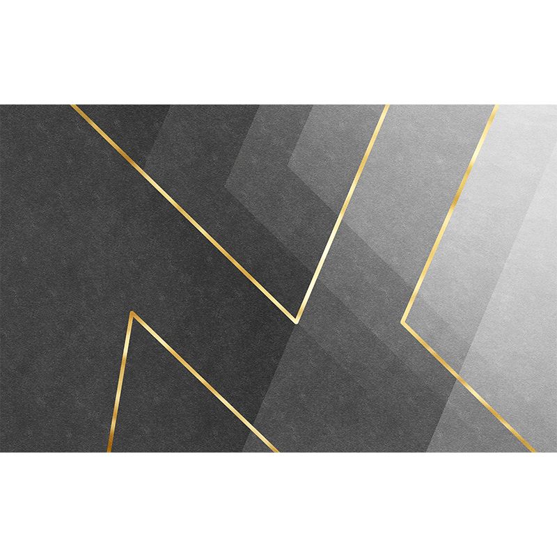 Modern Graphic Pattern Rug Polyester Area Carpet Stain Resistant Indoor Rug for Living Room