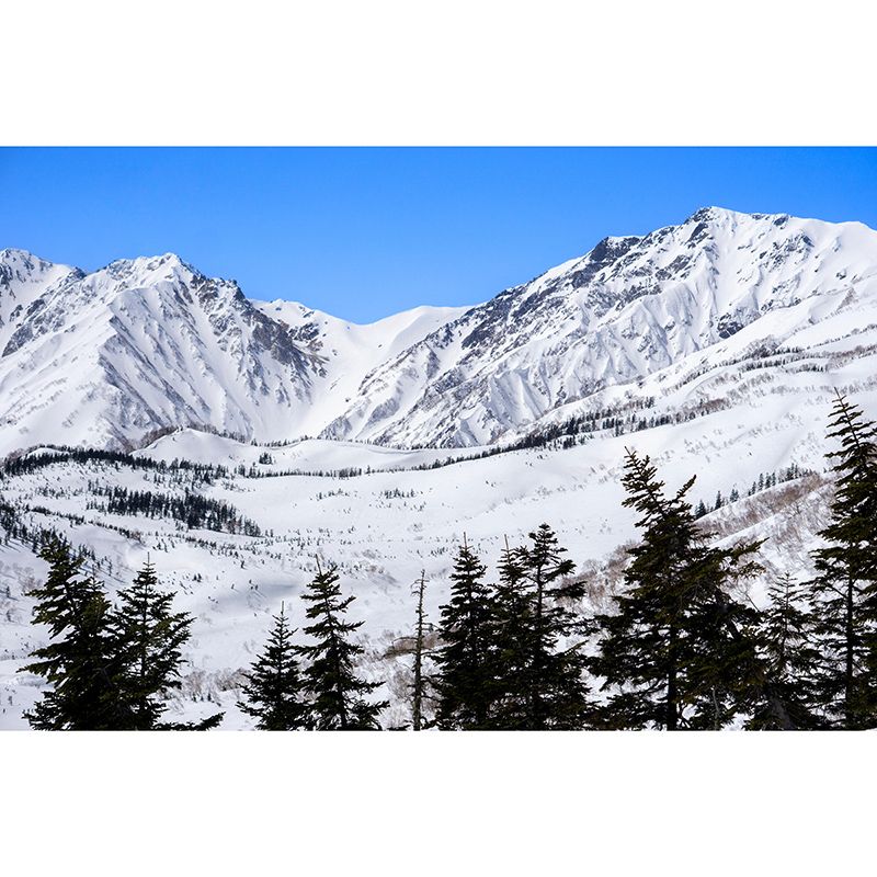 Mildew Resistant Mural Wallpaper Mountain Landscapes Pattern for Bedroom