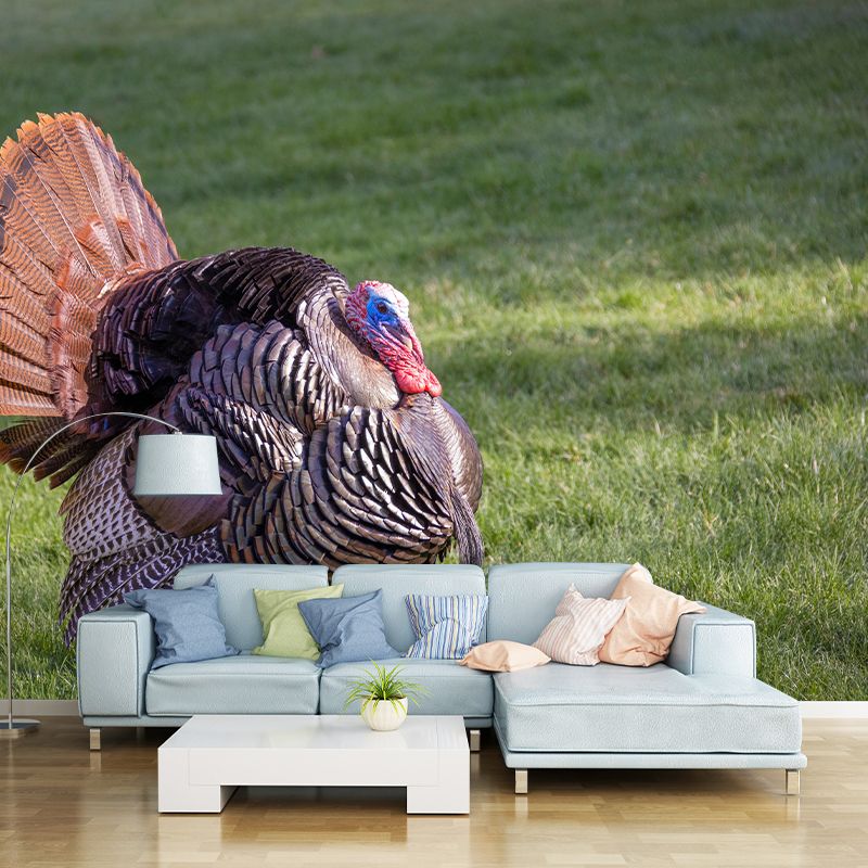 Customized Wild Turkey Wall Mural Horizontal Photography for Sleeping Room