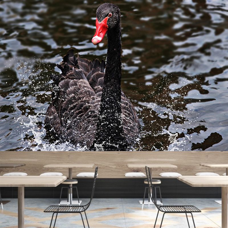 Black Swan Wallpaper Mural Decal Customized Modern Wall Covering for Bedroom