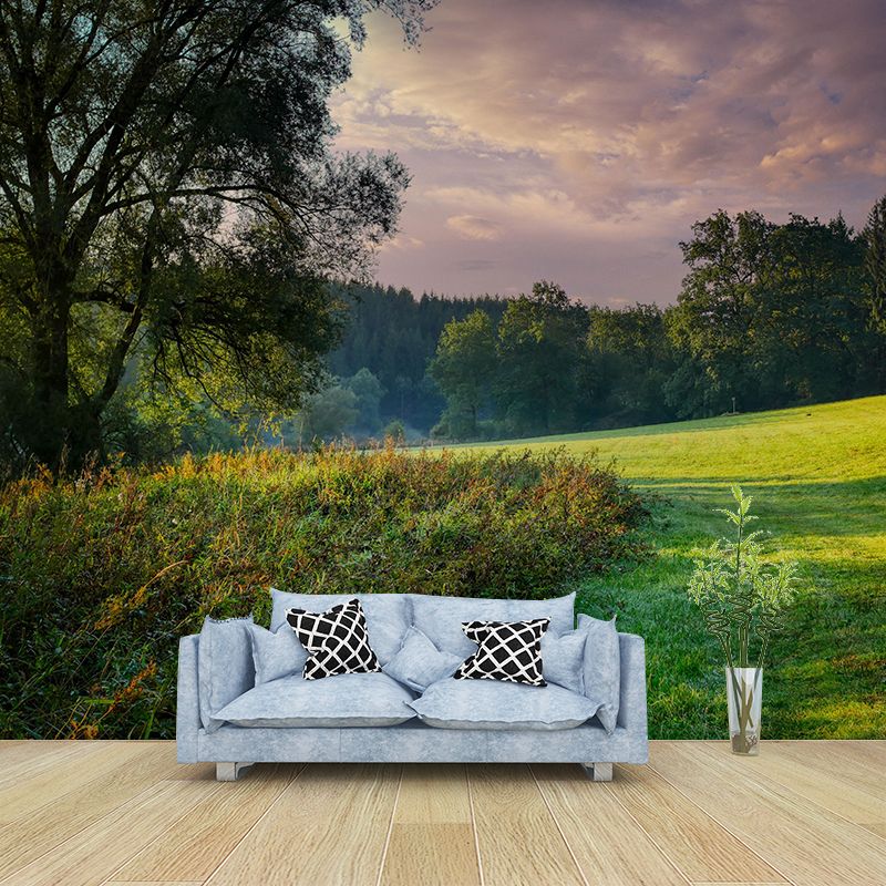 Forest Mural Decal Moisture Resistant Contemporary Bedroom Wall Covering