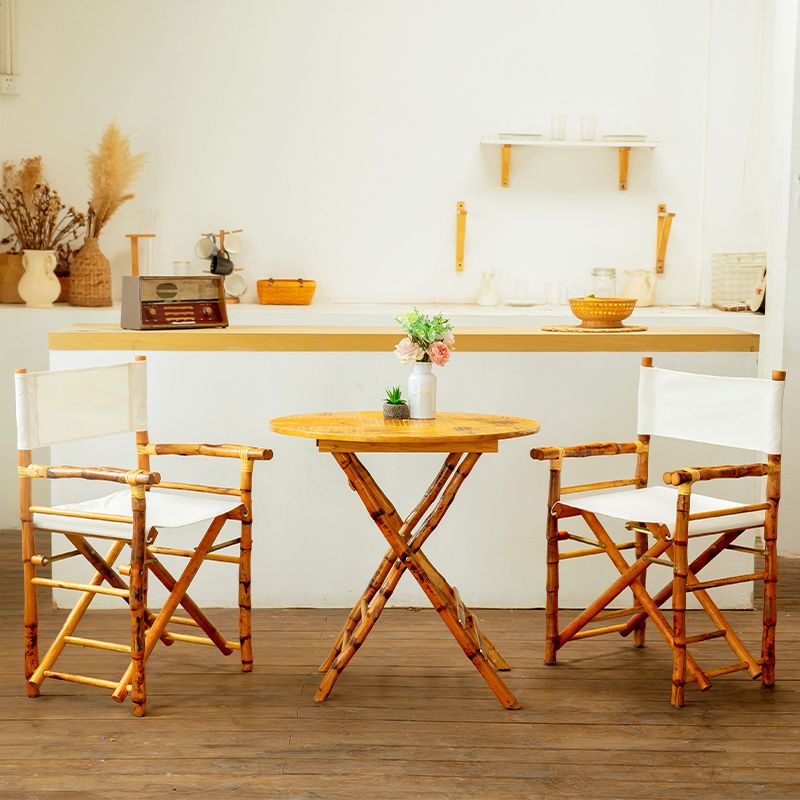 Tropical Rattan Armed Chairs Outdoors Dining Chairs with Arm