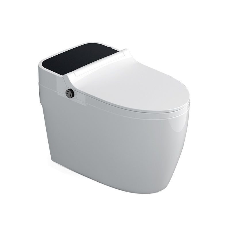 Contemporary Flush Toilet Floor Mounted One-Piece Toilet Porcelain Toilet Bowl