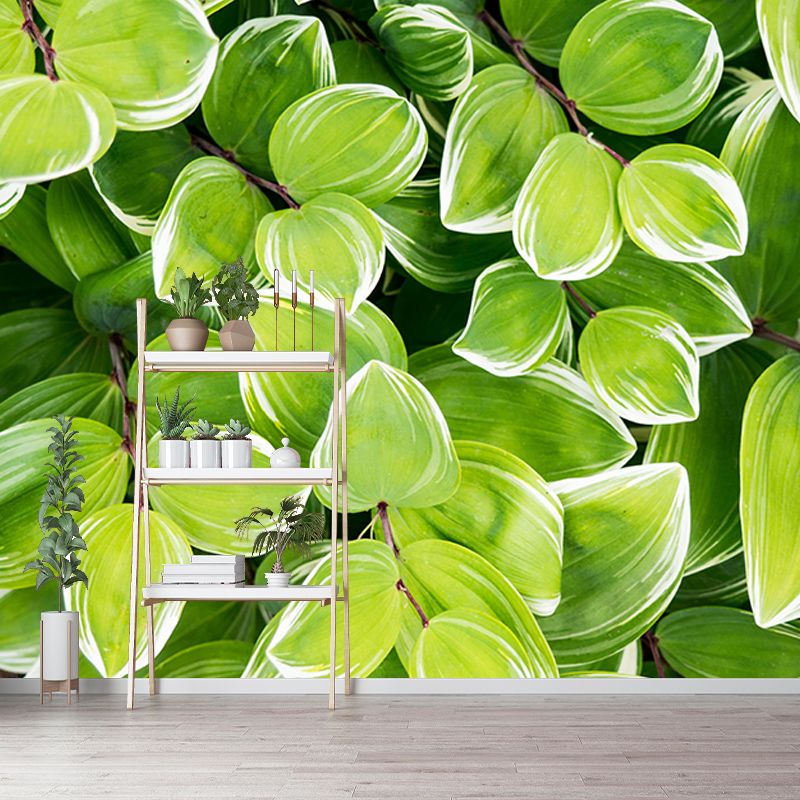 Beautiful Photography Mural Wallpaper Plants Decorative Indoor Wall Mural