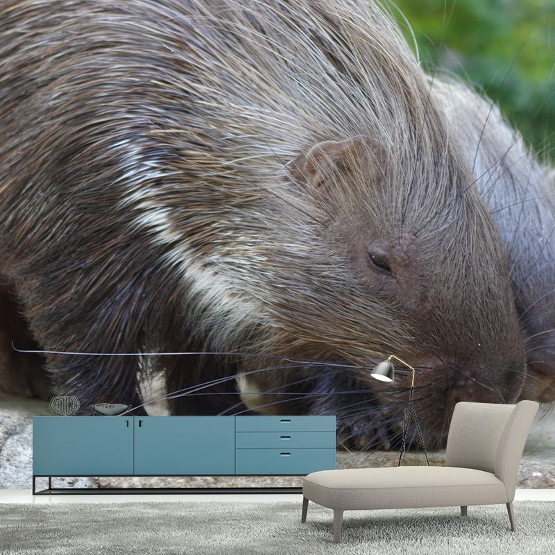 Environment Friendly Mural with Porcupine Painting Mildew Resistant Wallpaper Home Decor