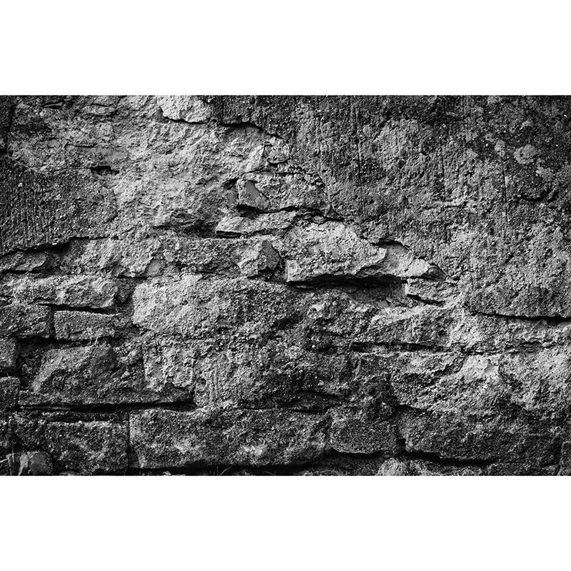 Horizontal Photography Brick Wall Mural Eco-friendly Wallpaper for Home Decor
