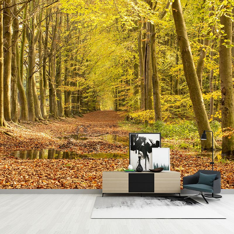 Forest Scenery Moisture Resistant Living Room Wall Decor, Custom Size Available