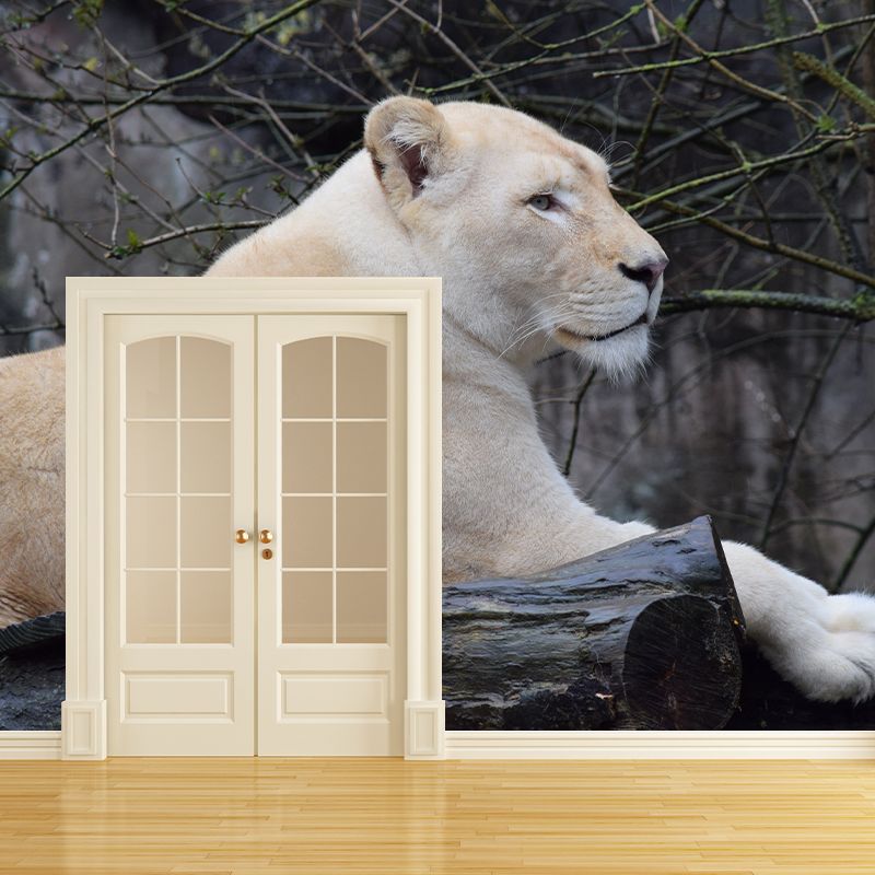 Customized Contemporary Lioness Mural Mildew Resistant for Sitting Room Bedroom