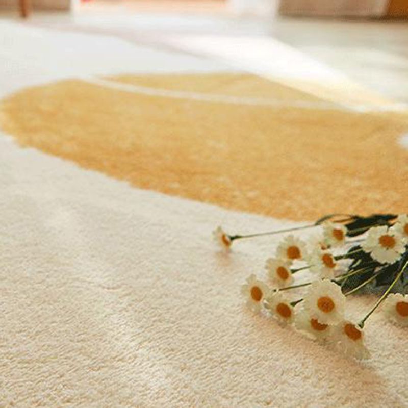 White Tone Casual Area Carpet Polyester Color Block Indoor Rug Anti-Slip Backing Rug for Living Room