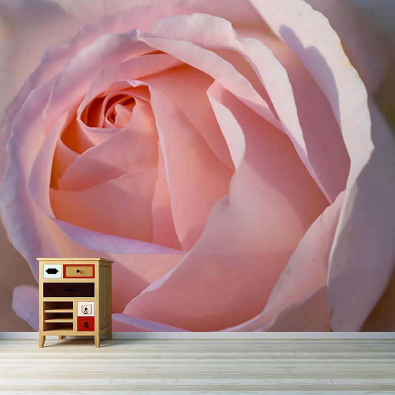 Modern Photography Mural Wallpaper Elegant Rose Indoor Wall Mural