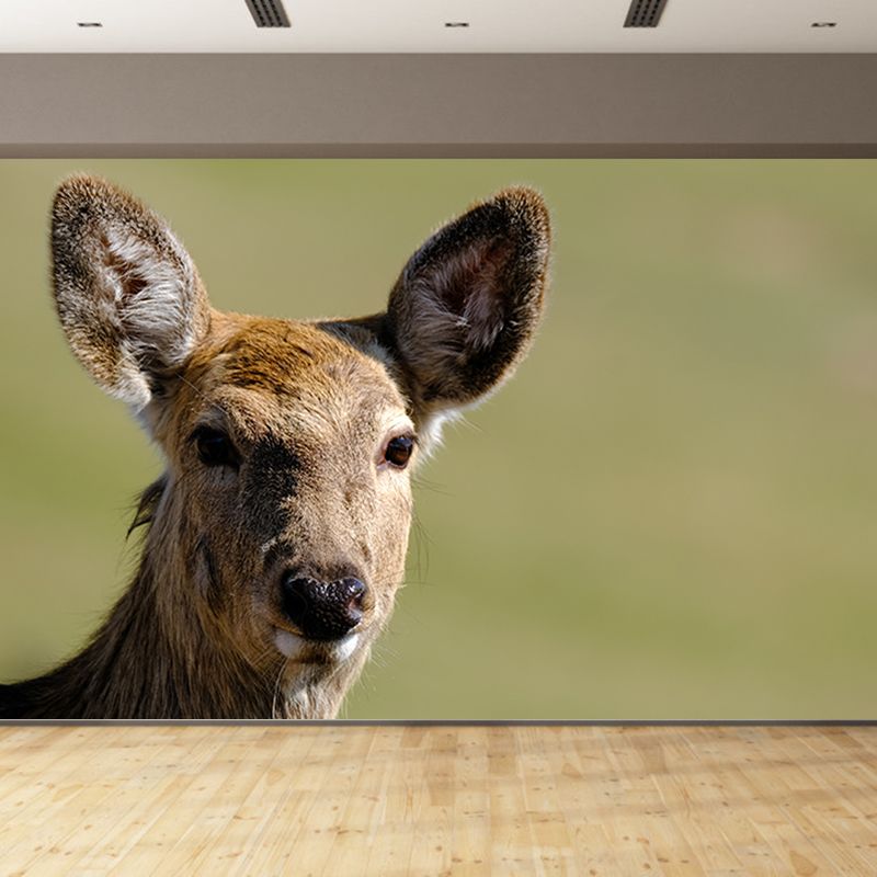 Deer Animal Mural Wallpaper for Living Room Decor Waterproofing, Custom Size