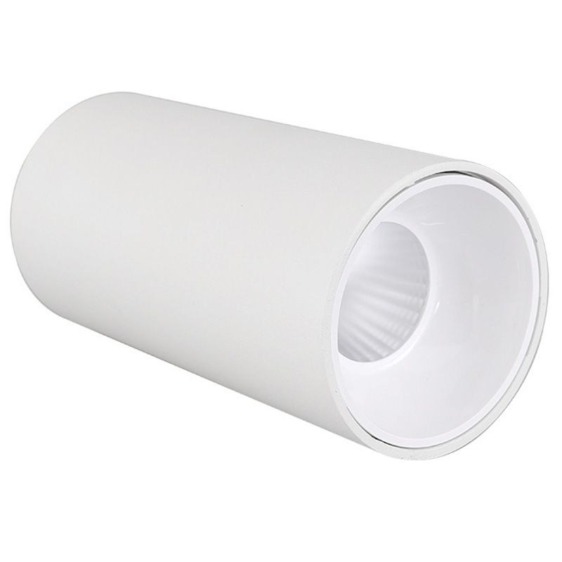 Lámpara de techo LED con forma de cilindro, montaje empotrado de 1 luz de aluminio moderno para dormitorio