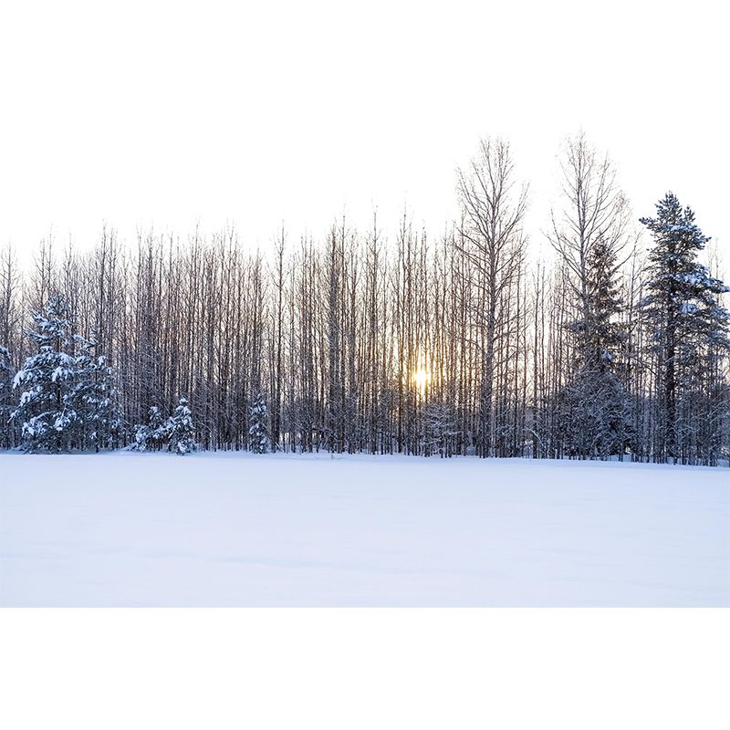 Contemporary Forest Wall Mural Wallpaper Eco-friendly Wall Mural in Bright Color