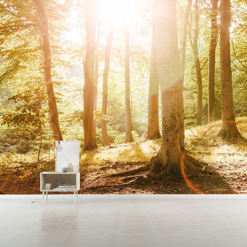 Photography Forest Mural Wallpaper Decorative Mildew Resistant Wall Decor