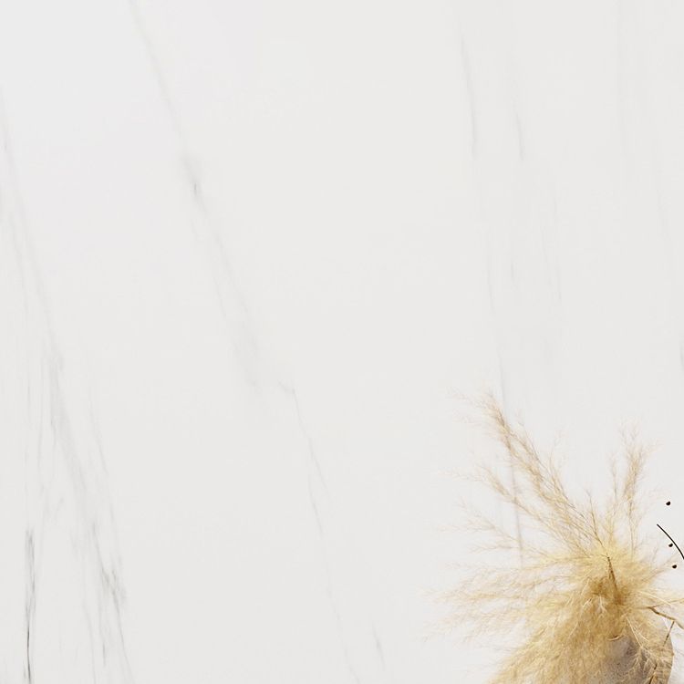 Modern Sintered Stone Top Dining Set Rectangle 1/2/5/7 Pieces Dinette Table Set in White