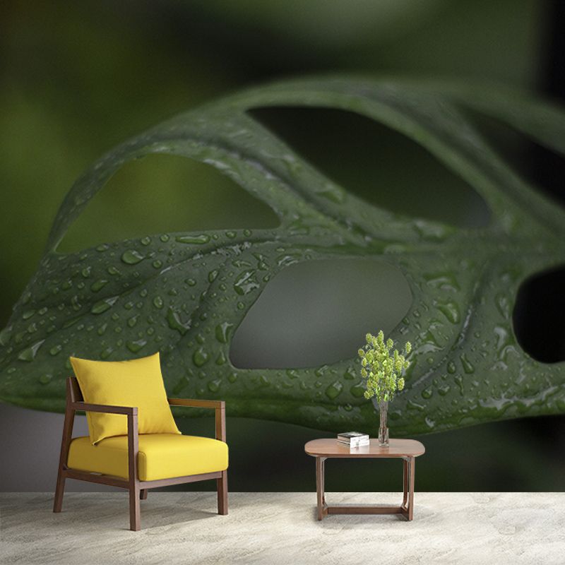 Tropical Monstera Home Decor Modern Sleeping Room Wall Decoration Wallpaper