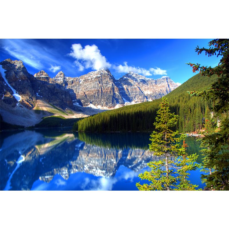 Stain Resistant Sky Scenery Mural Decal Non-Woven Modern Wall Decor for Girls Room