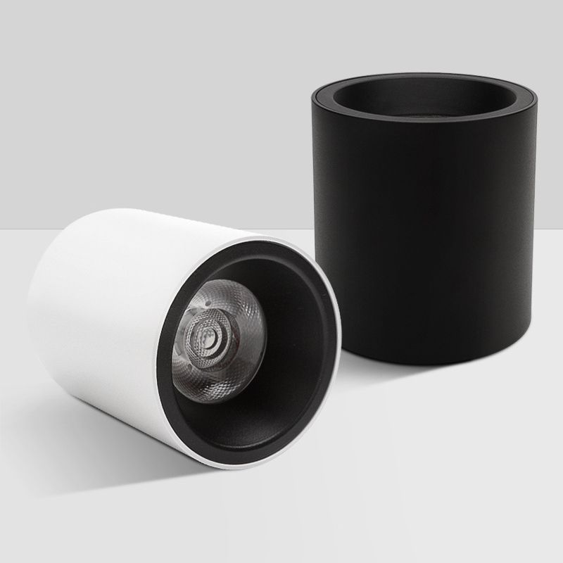 Cilindrische Aluminium Flush Mount Eenvoud Led oppervlak Mount Plafond Licht voor Foyer