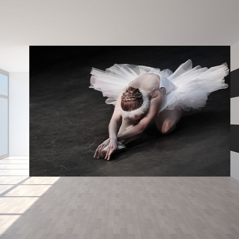 Artistry Wall Covering Mural Large Ballet Girls Pattern Wall Art for Bedroom
