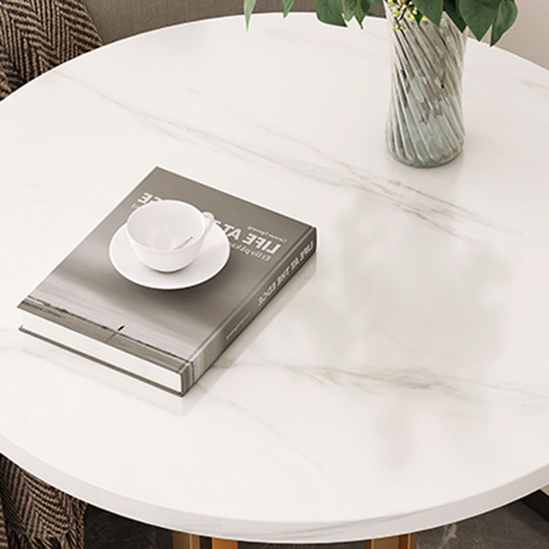 Modernistic Metallic Pedestal End Table MetalRound Slate Top Side End Table