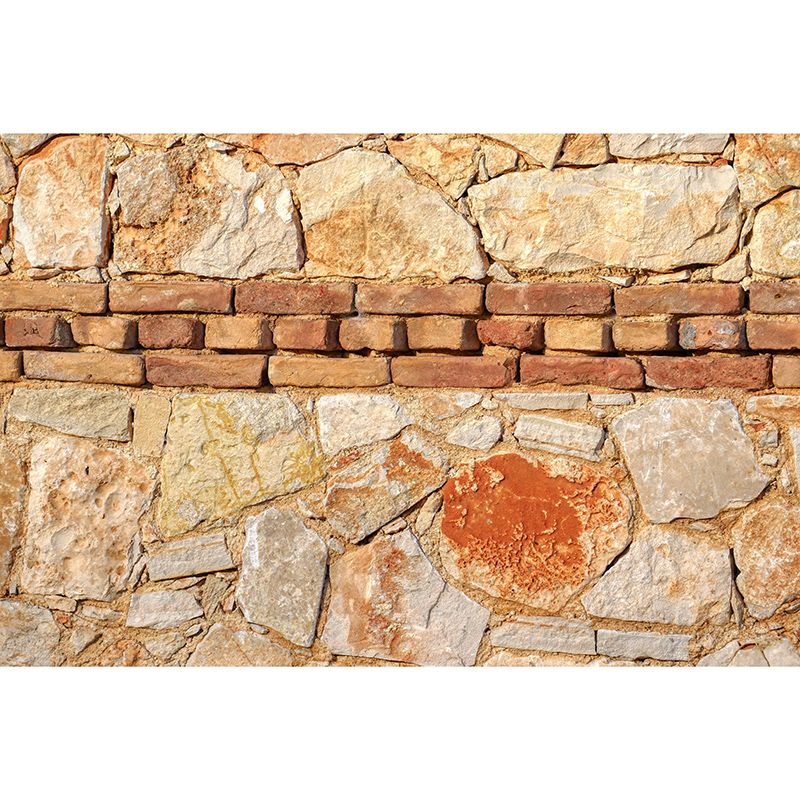 Vivid Industrial Stone Wall Mural Mildew Resistant Decorative Wall Art