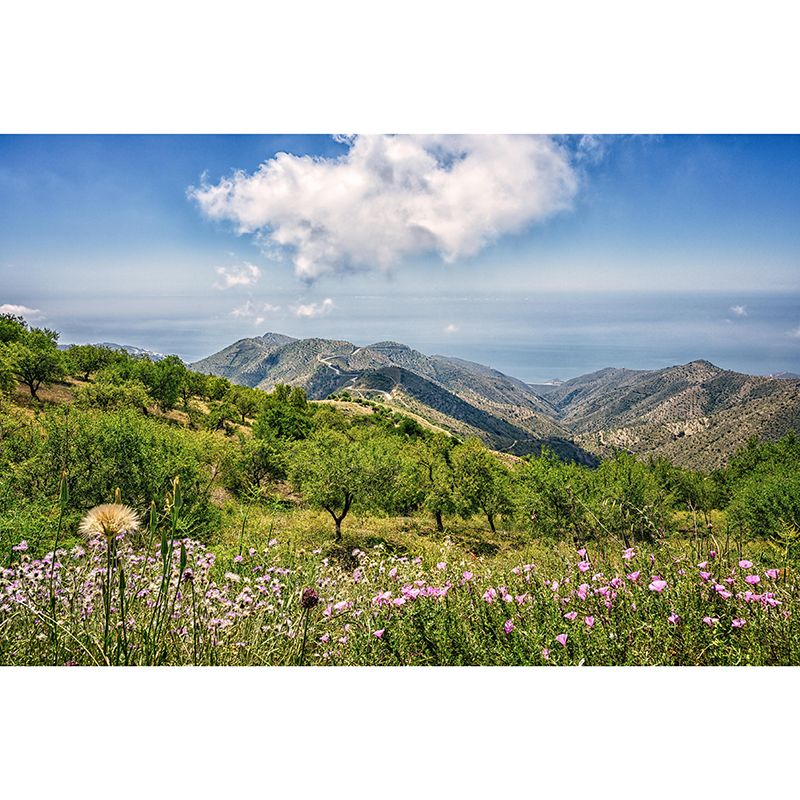 Mountain Scenery Wall Mural Modernism Style Wall Decoration for Sitting Room