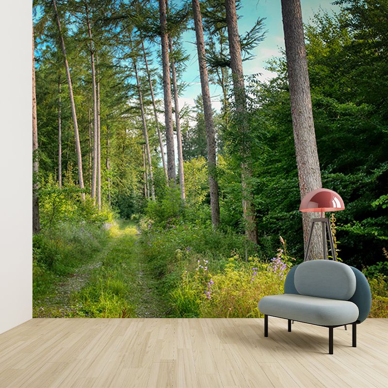 Green Forest Landscape Mural Wallpaper for Reading Room, Water Resistant