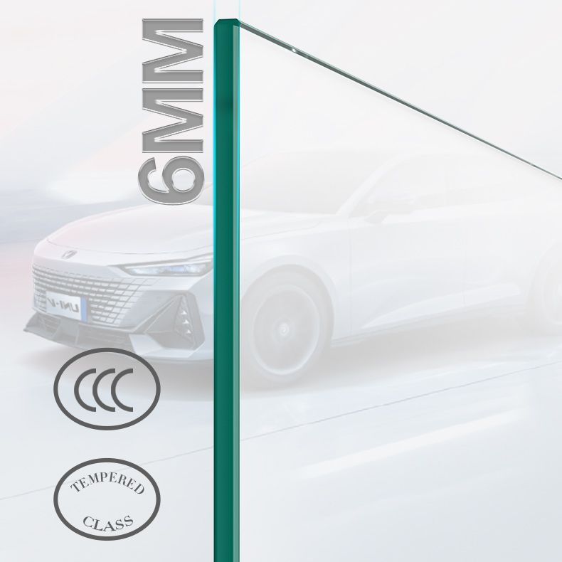Silver and Black Shower Enclosure Clear Tempered Glass Shower Stall
