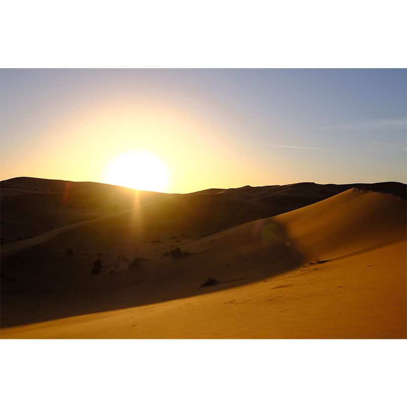 Desert Nature Landscape Removable Wall Mural for Dining Room, Water Resistant