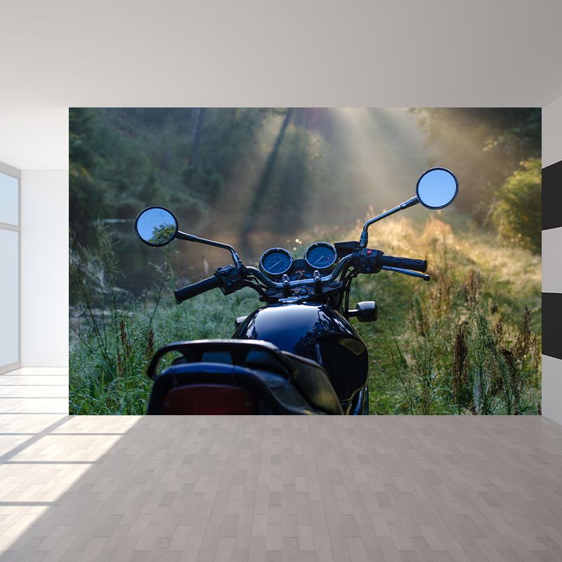 Photography Horizontal Mural Decal Decorative Wall Covering for Accent Wall