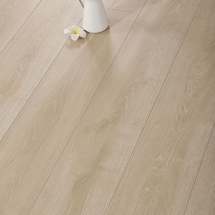 Contemporary Laminate Flooring Light Color Wooden Laminate Flooring