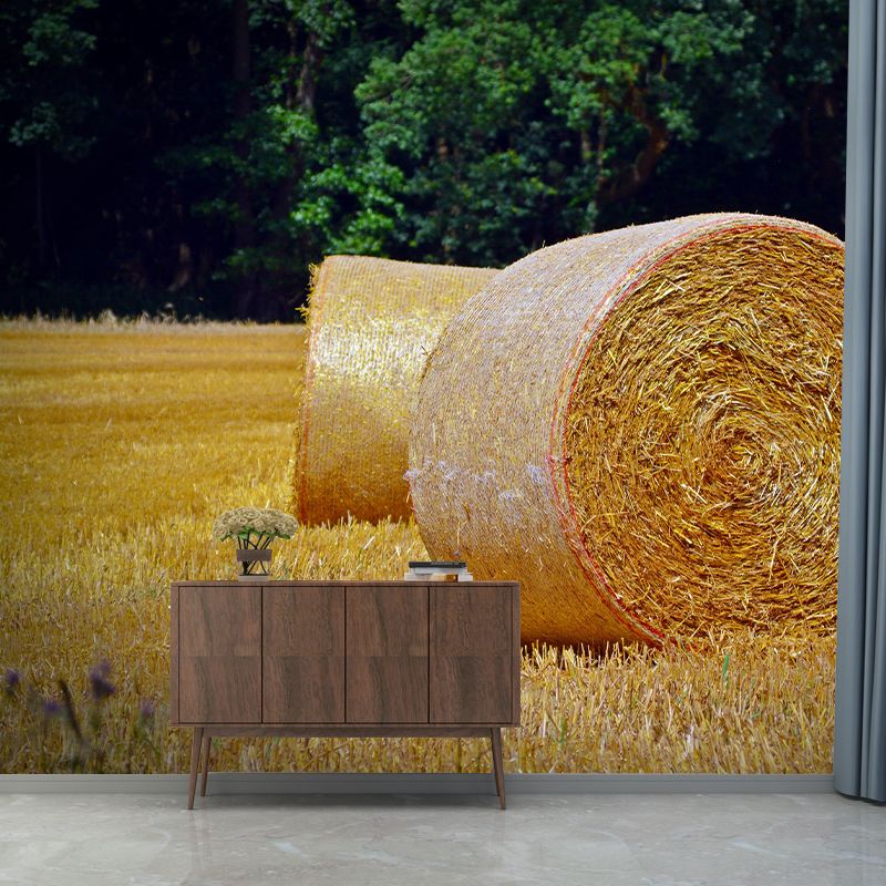 Contemporary Moisture Resistant Straw Bales Mural Wall Covering for Dining Room