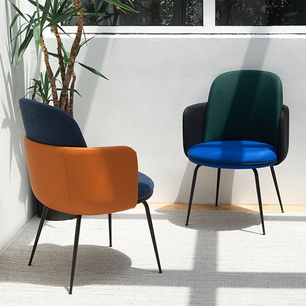 Matte Finish Dining Chair Designer Style Room Solid Back Arm Chair