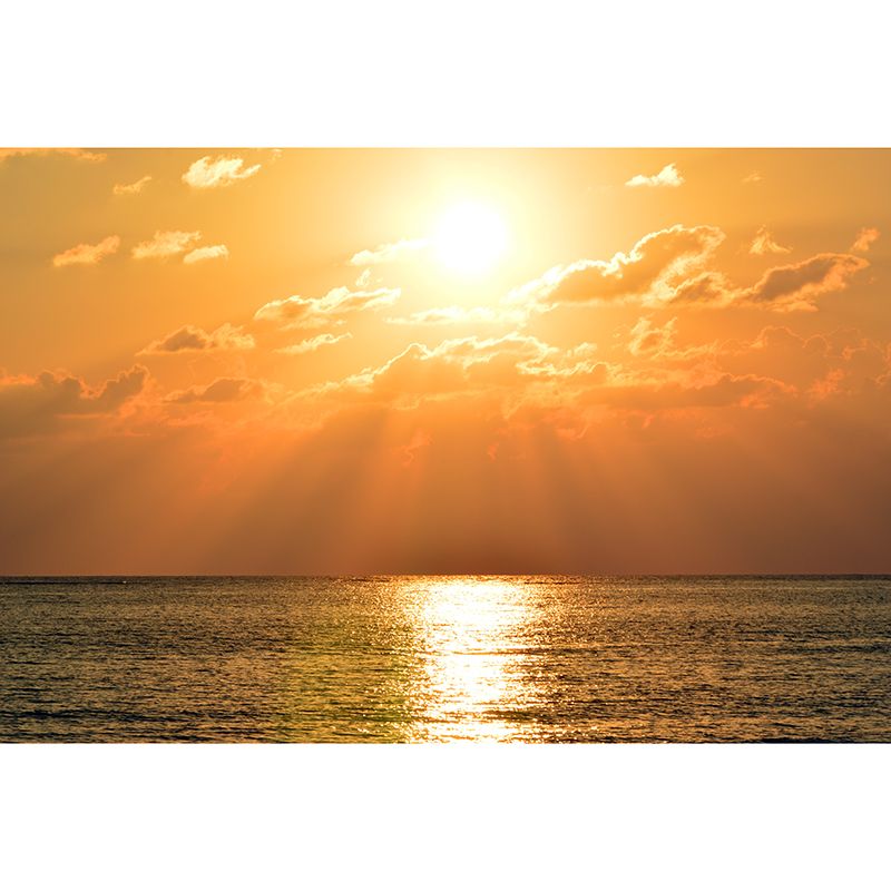 Cloudscape Wallpaper Mural Simple Style Girls Room Mural for Wall Decor